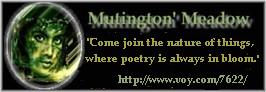 Mutington's Meadow